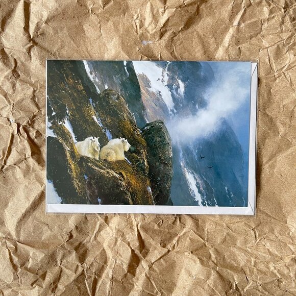 4ct Assortment of Colorado Cards and Envelopes - Picture 6 of 16